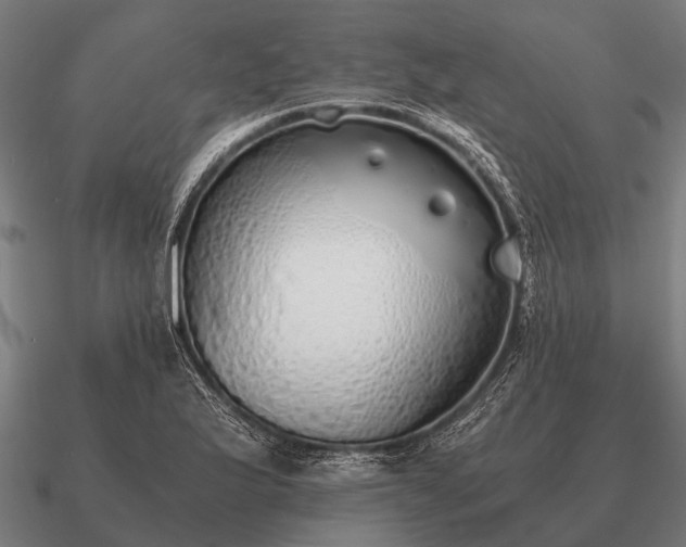 X0000090901175200708061458