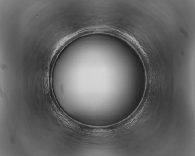 X0000090901176200708061458