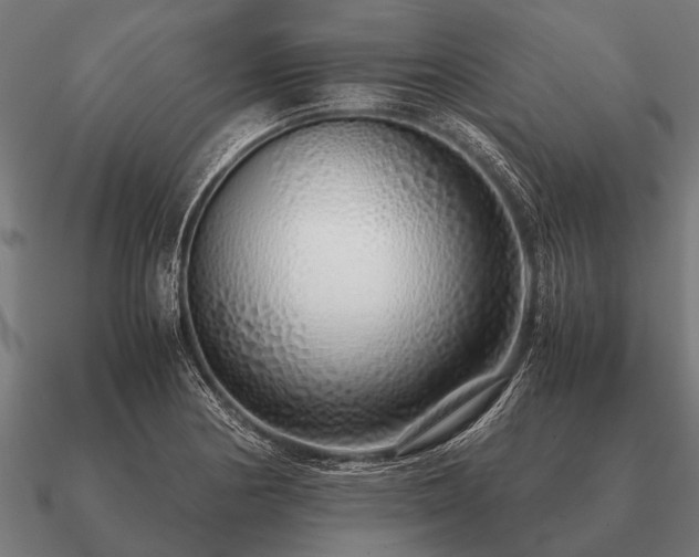 X0000090901178200708061458