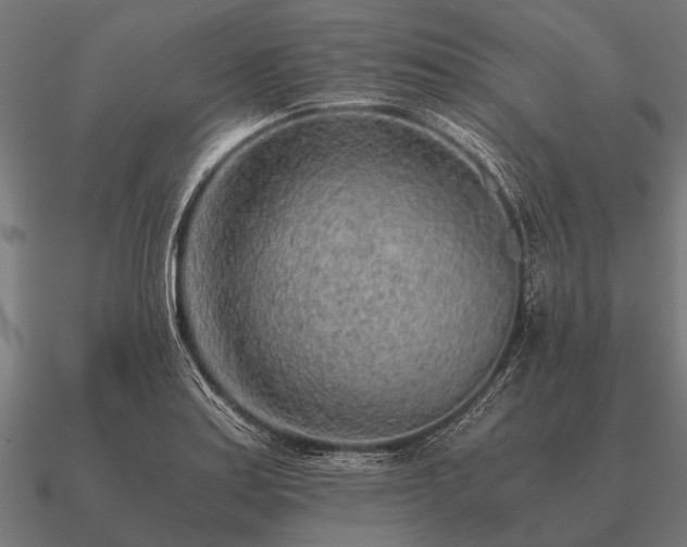 X0000090901179200708061458