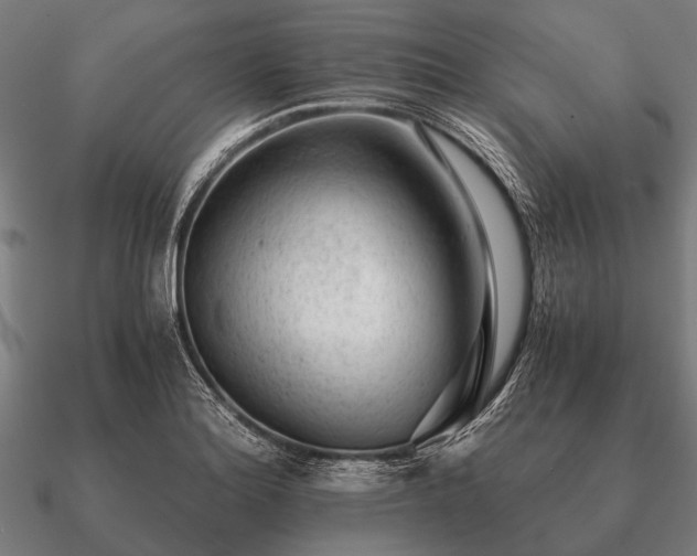 X0000090901180200708061458