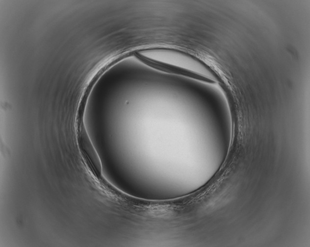 X0000090901181200708061458