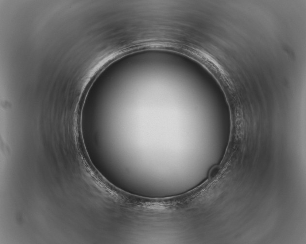 X0000090901182200708061458