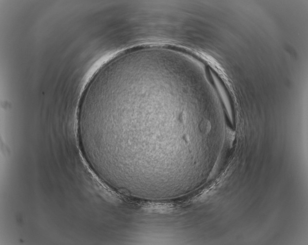 X0000090901183200708061458