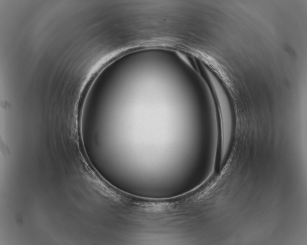 X0000090901184200708061458