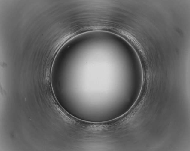 X0000090901185200708061458