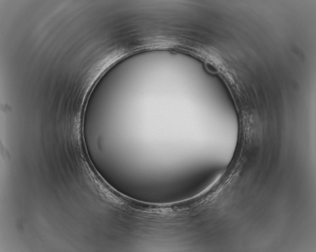 X0000090901186200708061458