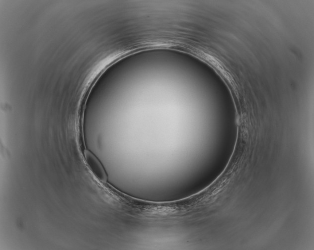 X0000090901187200708061458