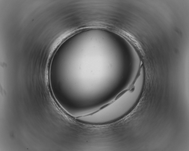 X0000090901188200708061458