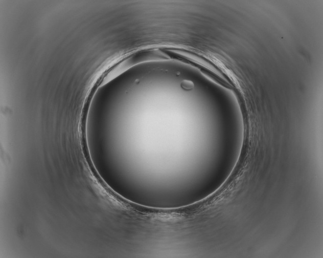 X0000090901189200708061458