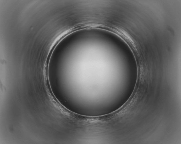 X0000090901190200708061458