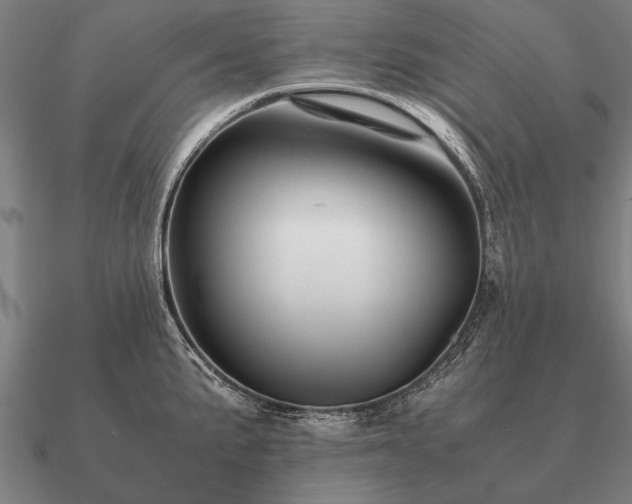 X0000090901191200708061458