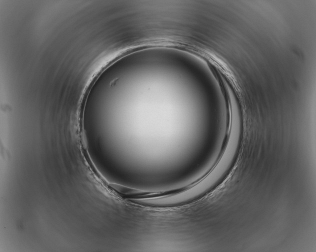 X0000090901192200708061458