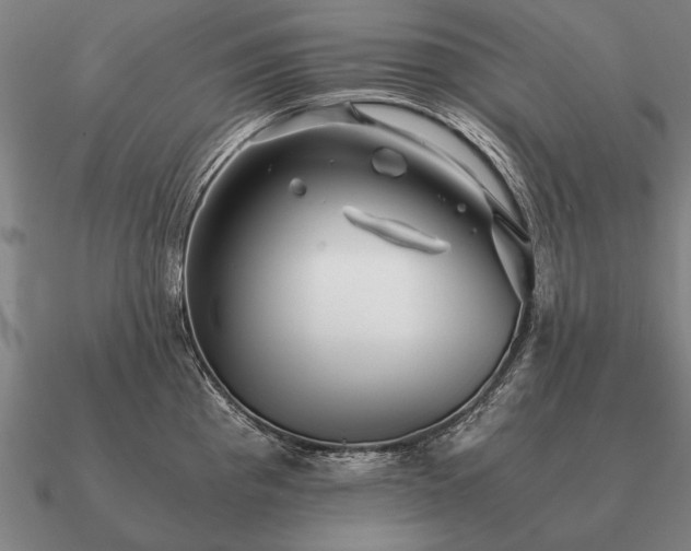 X0000090901193200708061458