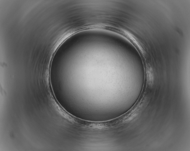 X0000090901194200708061458