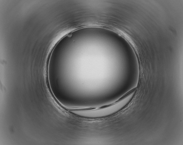 X0000090901195200708061458