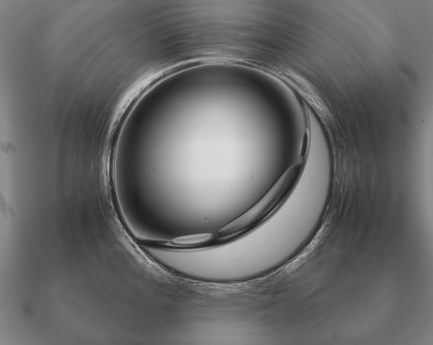 X0000090901196200708061458