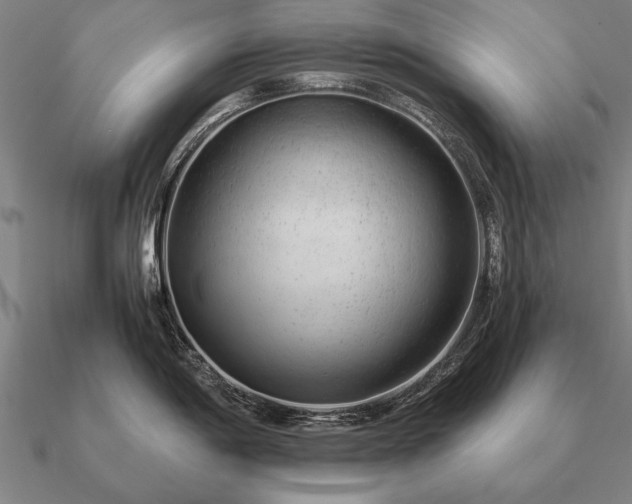 X0000090901198200708061458