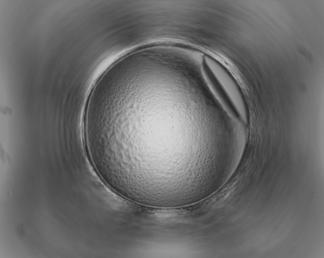 X0000090901199200708061458