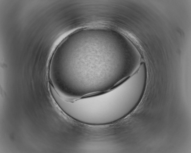 X0000090901200200708061458