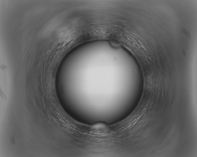 X0000090901201200708061457