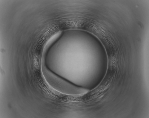 X0000090901202200708061457