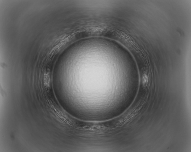 X0000090901204200708061457