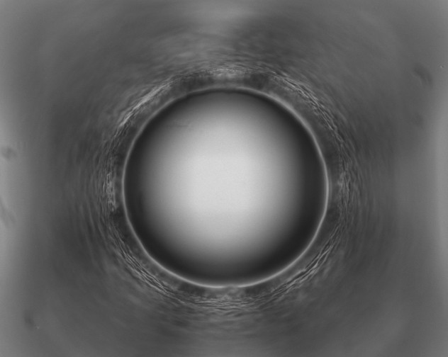 X0000090901205200708061457