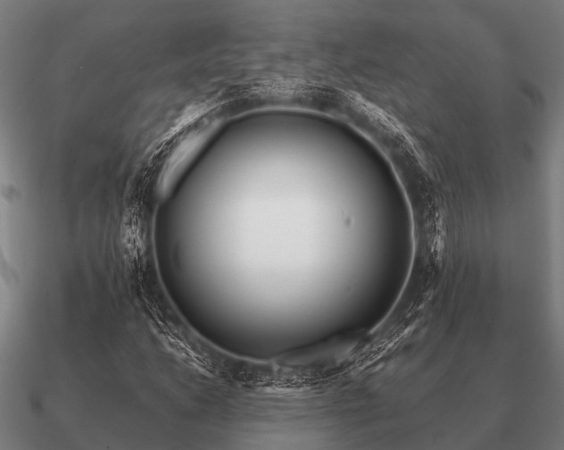 X0000090901206200708061457