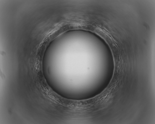 X0000090901207200708061457