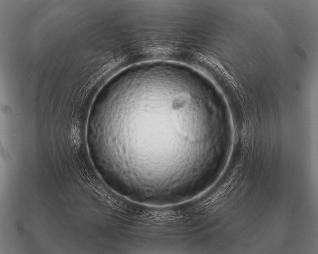 X0000090901209200708061457