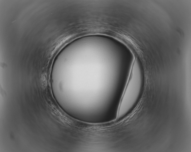 X0000090901212200708061458