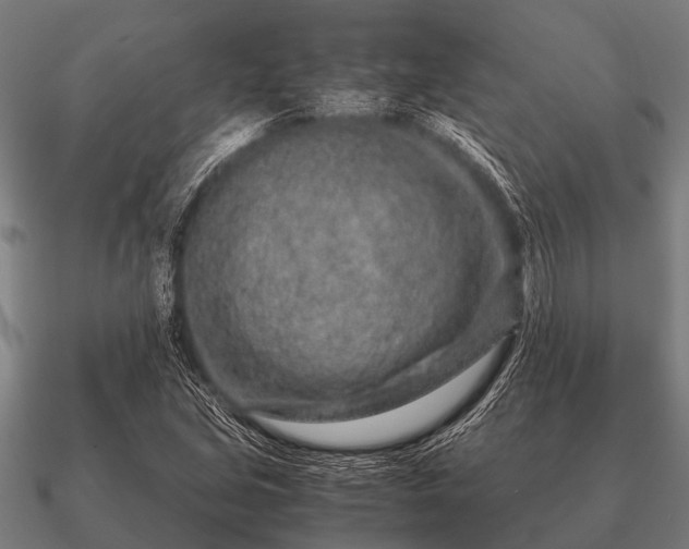 X0000090901213200708061458