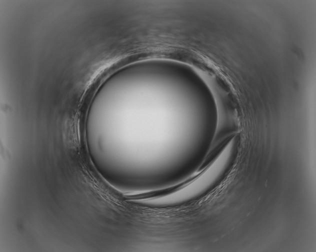 X0000090901214200708061458