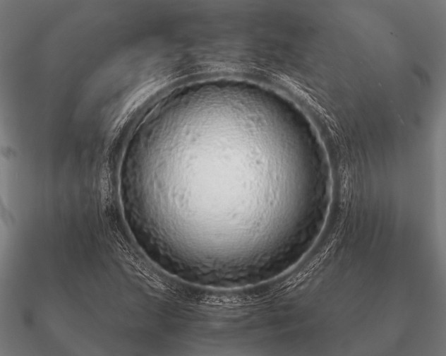 X0000090901215200708061458