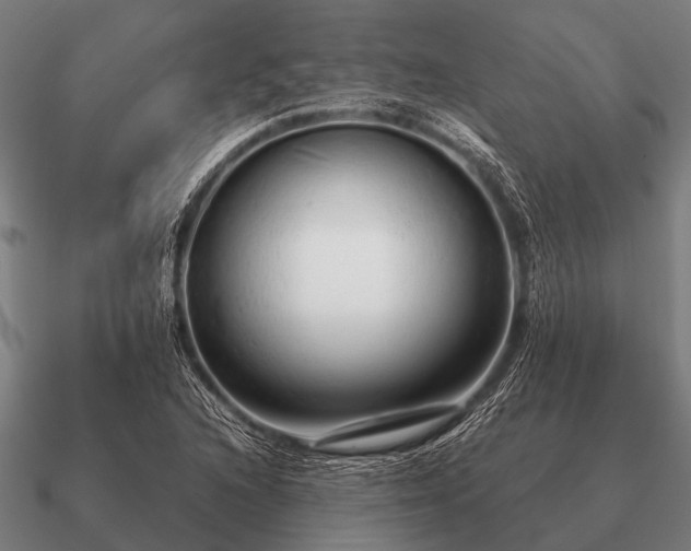 X0000090901216200708061458