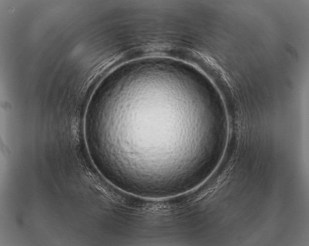 X0000090901217200708061458