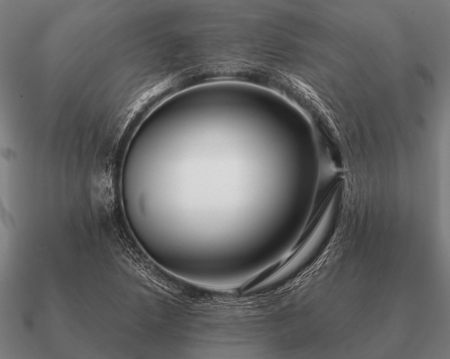 X0000090901218200708061458