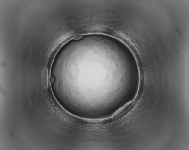 X0000090901219200708061458