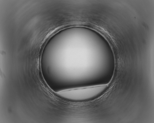 X0000090901220200708061458