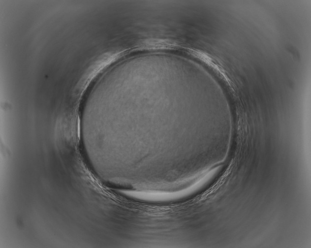 X0000090901221200708061458