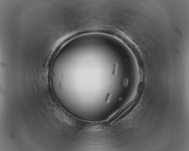 X0000090901222200708061458