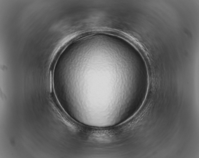 X0000090901223200708061458