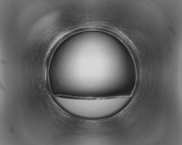 X0000090901224200708061458