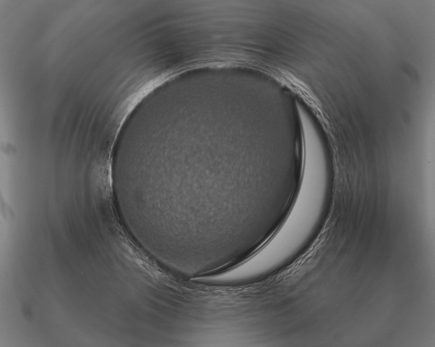 X0000090901226200708061458