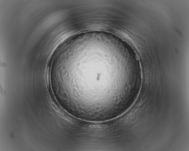 X0000090901227200708061458