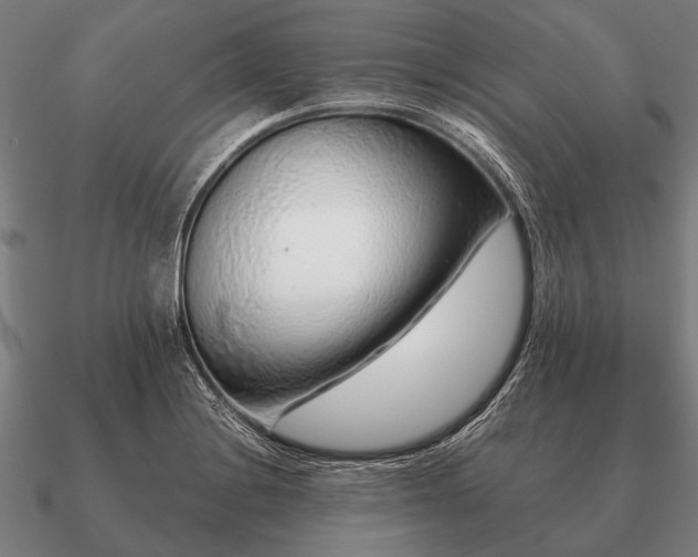 X0000090901228200708061458