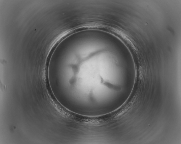 X0000090901229200708061458