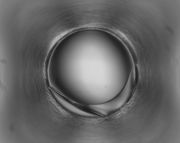 X0000090901230200708061458