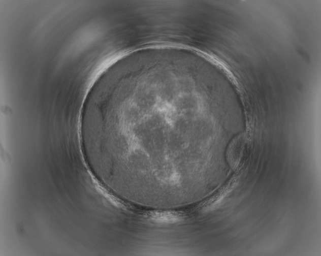 X0000090901231200708061458